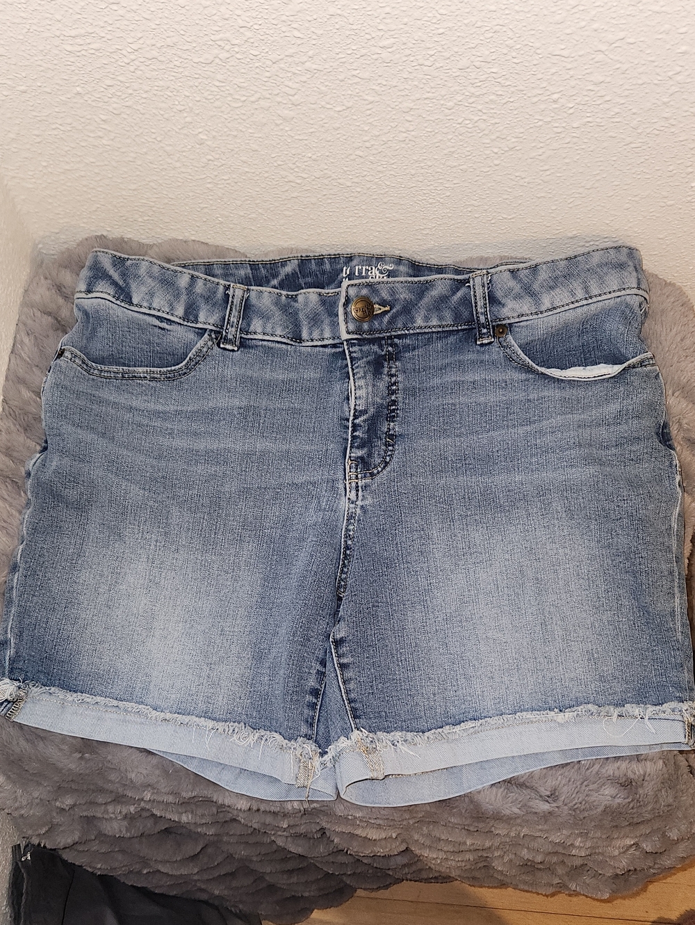 Terra & Sky Light Blue Denim Cutoff Shorts